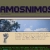Amos Nimos avatar