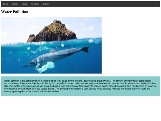 Final/HomePage screenshot