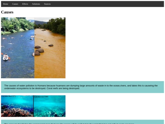Final/causes screenshot