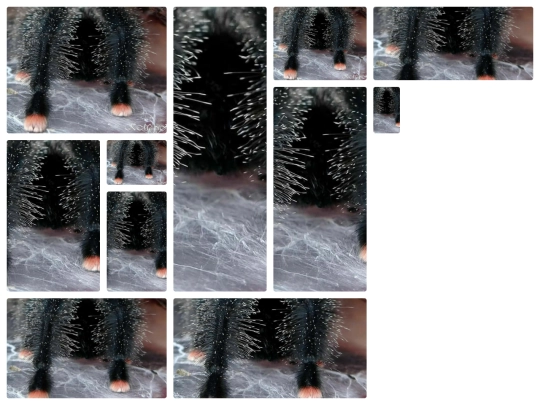 gallery screenshot