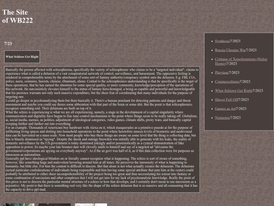 schizo screenshot