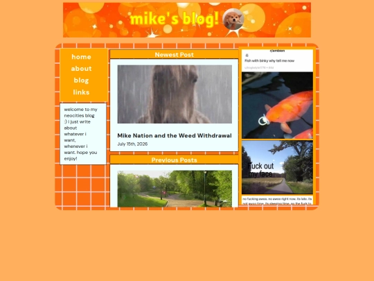 blog screenshot