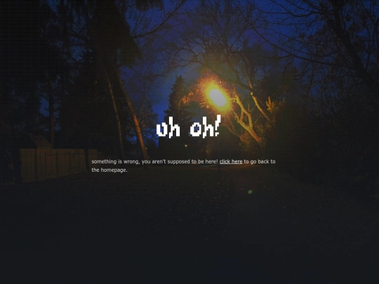404 screenshot