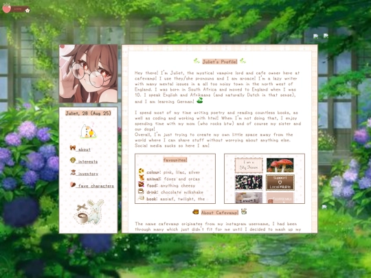 about screenshot