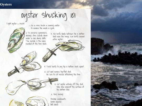 oysters screenshot