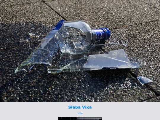 slabavixa screenshot