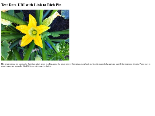 p/richdatauri screenshot