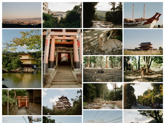 frames/olympusalbum screenshot