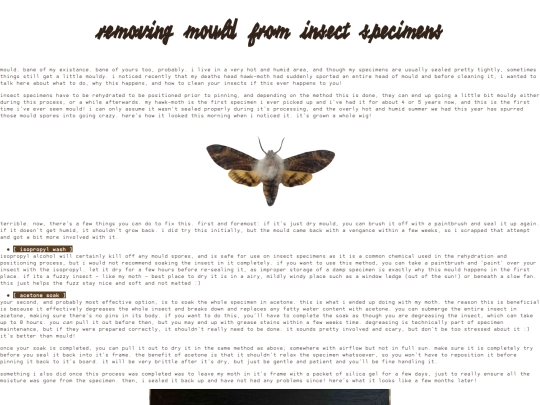 taxidermy/mould screenshot