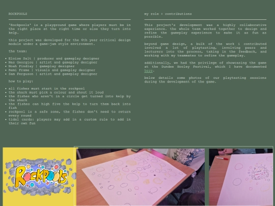 projects/rockpools screenshot