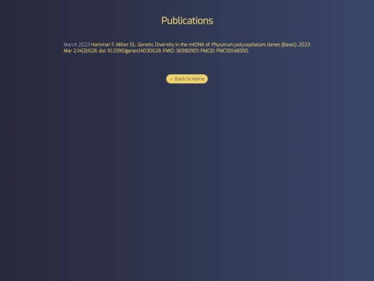 pub screenshot