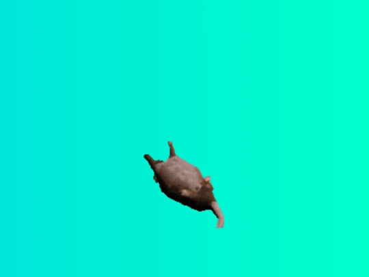 rathell screenshot