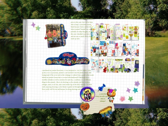 journal screenshot