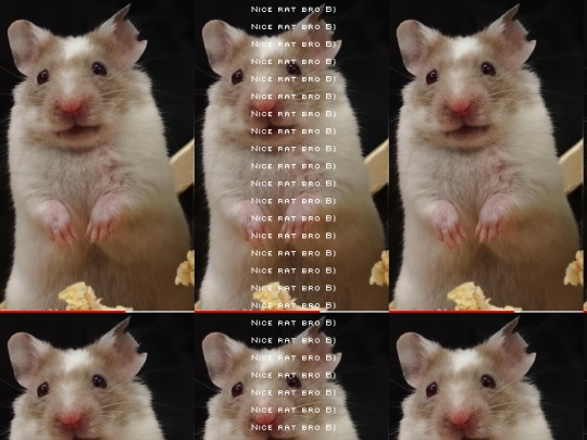 niceRatBro screenshot