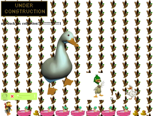 ducks screenshot