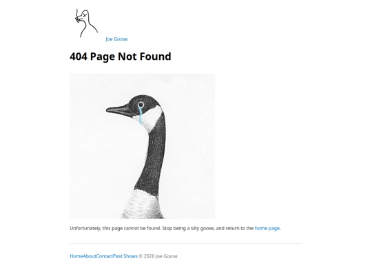 404 screenshot