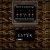 datoxicwaltz.yorniq.xyz avatar
