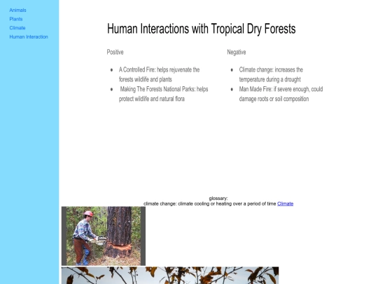 human screenshot