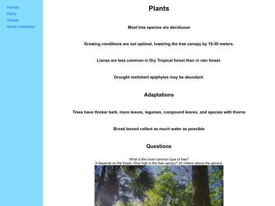 plant screenshot