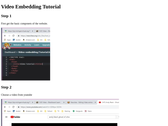 Video-embedding/Tutorial screenshot