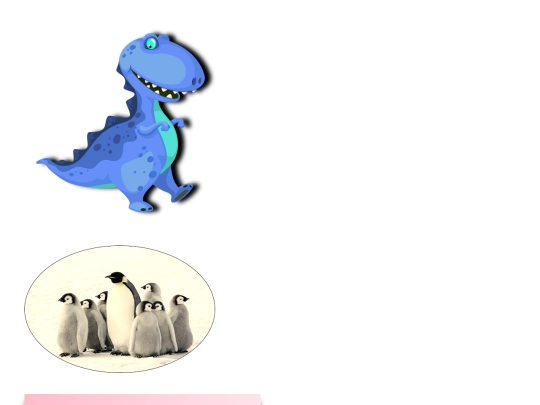 imitation/assignment screenshot
