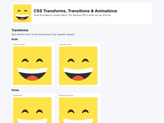 transAnimateFilled screenshot