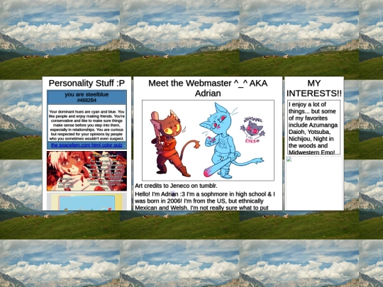 webmaster screenshot
