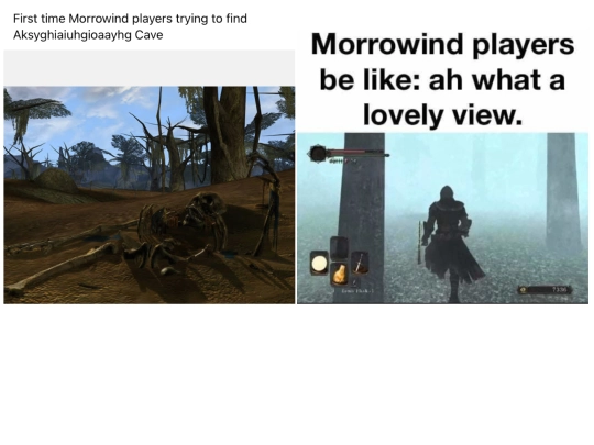 morrowind/www.morrowindIsBad.com screenshot