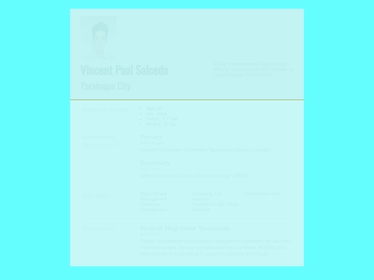 resume screenshot
