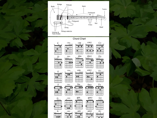 learn_guitar screenshot