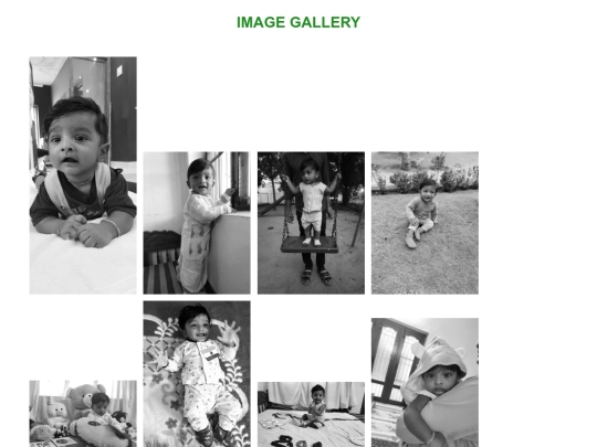 Image Gallery/Alefimng screenshot