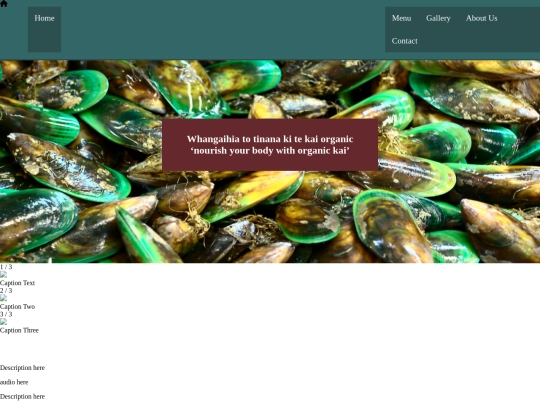 project screenshot