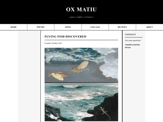 blog/collage posts/writflyingfish screenshot