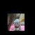 moldyplum.yorniq.xyz avatar