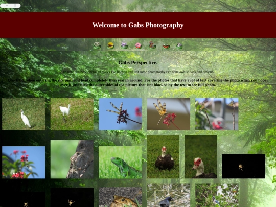 photography screenshot