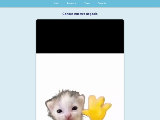 zoedetallitosvideo screenshot