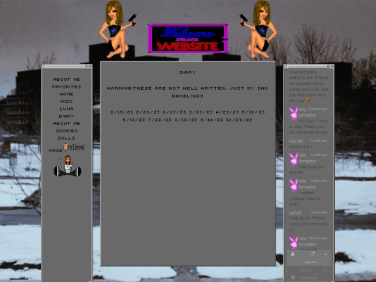 diary screenshot
