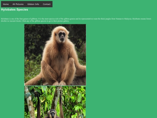 genus_hylobates screenshot
