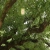 parfaiteer.yorniq.xyz avatar