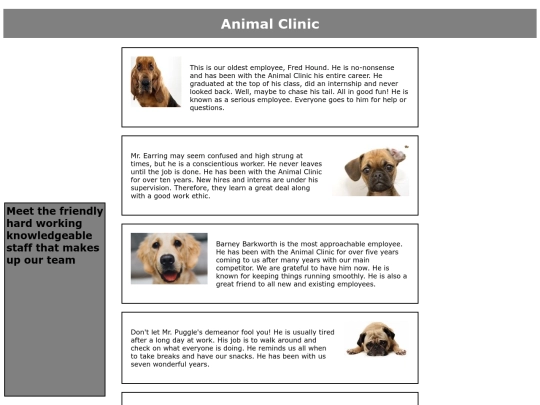 DavidMcKinneyStaffPage screenshot