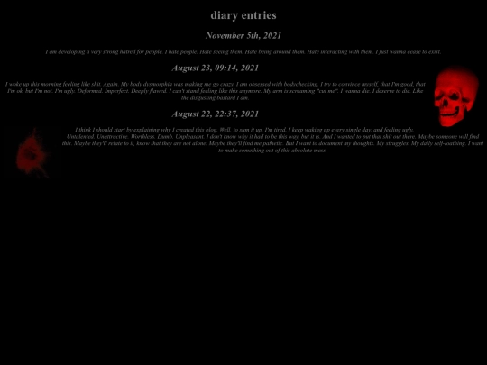 diary_entries screenshot