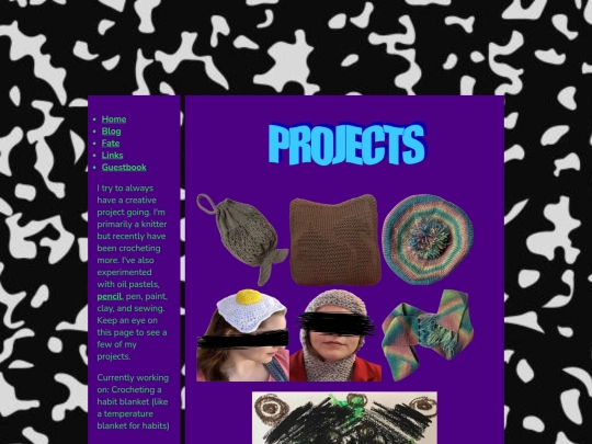 projects screenshot