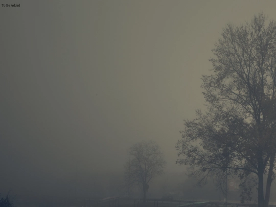 acfort screenshot