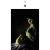 qqsaku.yorniq.xyz avatar
