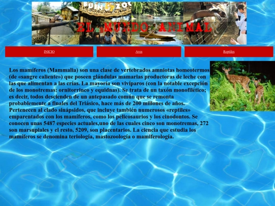 Mamiferos screenshot