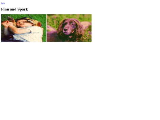 pets/finnandspark screenshot