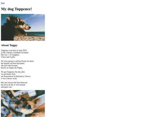 pets/tuppence screenshot