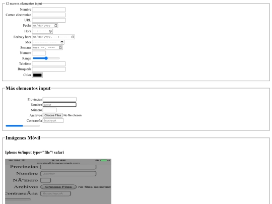 formulario2.6b screenshot