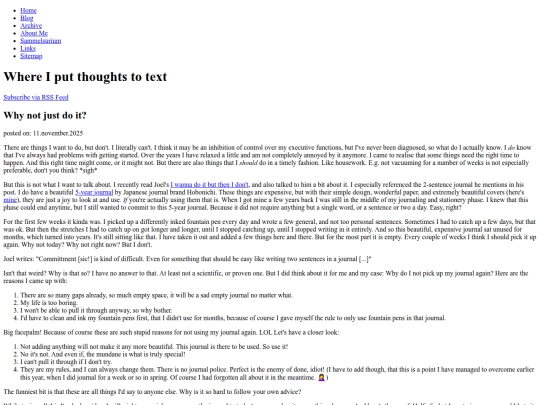 blog/2025/11/why-not-just-do-it screenshot