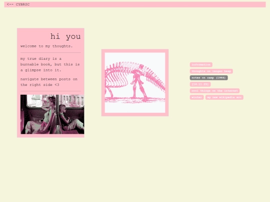 diary screenshot